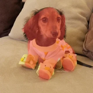 🌟 emoji Ещё один стикерпак для таксы Telegram sticker 3 of 75