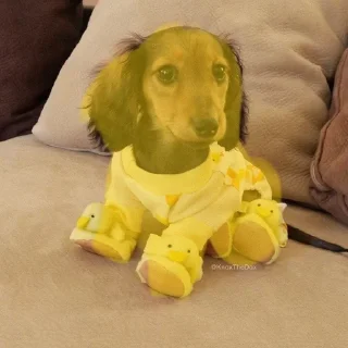🌟 emoji Ещё один стикерпак для таксы Telegram sticker 13 of 75