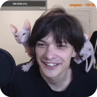 🐈 emoji оно уходит от развития Telegram sticker 21 of 93