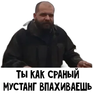 🐎 emoji Стикеры👉 @stikeru7777 Telegram sticker 7 of 86