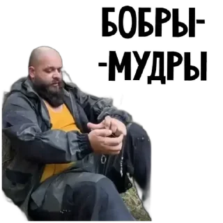 🦫 emoji Стикеры👉 @stikeru7777 Telegram sticker 14 of 86