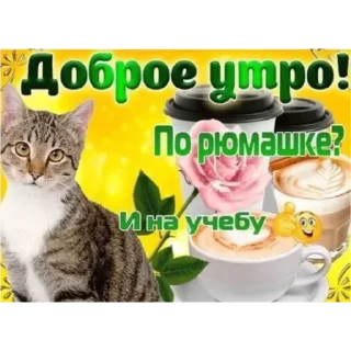 💚 emoji доброе утро спокойной ночи я ссикать Telegram sticker 5 of 15