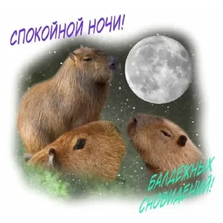 💚 emoji доброе утро спокойной ночи я ссикать Telegram sticker 14 of 15
