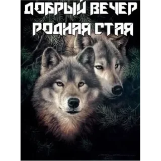 💚 emoji доброе утро спокойной ночи я ссикать Telegram sticker 8 of 15
