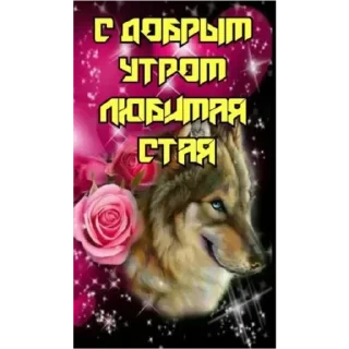 💚 emoji доброе утро спокойной ночи я ссикать Telegram sticker 1 of 15
