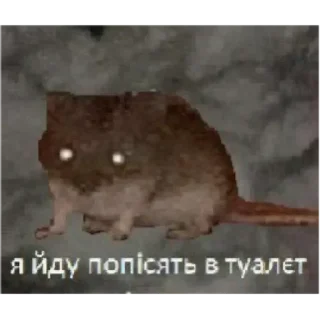 💚 emoji доброе утро спокойной ночи я ссикать Telegram sticker 15 of 15