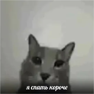 💚 emoji доброе утро спокойной ночи я ссикать Telegram sticker 10 of 15