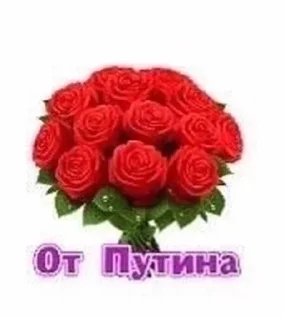 🌹 emoji Rozochi Telegram sticker 2 of 58