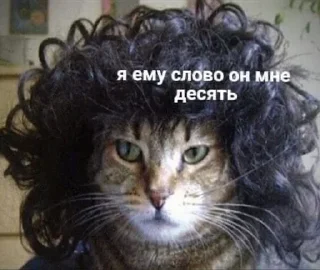 Sticker from Котыыыы