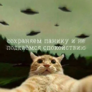 Sticker from Котыыыы