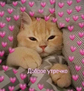 Sticker from мило”