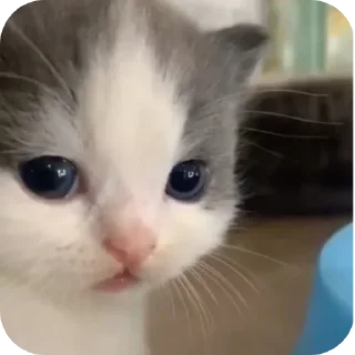 🤨 emoji демонша отсоска #одадоза Telegram sticker 3 of 42