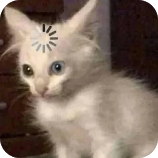 🐱 emoji демонша отсоска #одадоза Telegram sticker 14 of 42