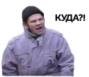 Sticker from Ты мне втираешь какую-то дичь