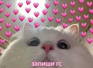 ‼️ emoji Youmylove♡ Telegram sticker 19 of 38