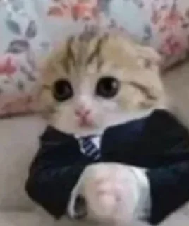 🌟 emoji Важное, разговорное Telegram sticker 11 of 85