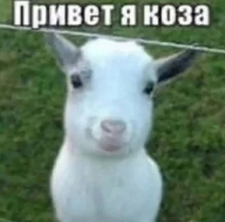 🌟 emoji Важное, разговорное Telegram sticker 1 of 85