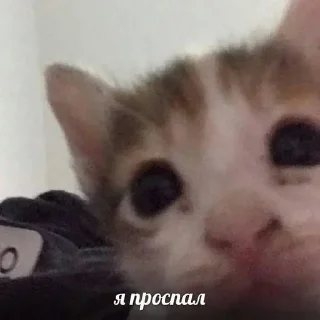 🌟 emoji Важное, разговорное Telegram sticker 13 of 85