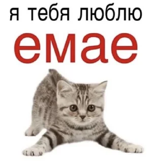 Sticker from для няшек^ ^