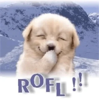 Sticker from p0.pp1