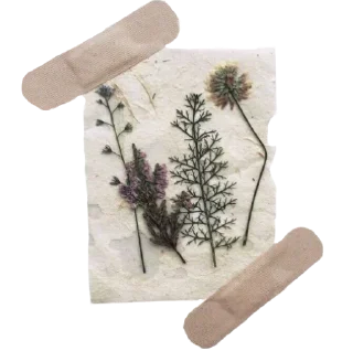 🍃 emoji @sticksbb 🩷 <- канал со стиками Telegram sticker 10 of 35