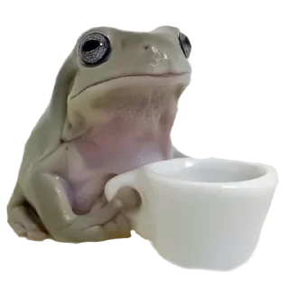 😐 emoji @sticksbb 🩷 <- канал со стиками Telegram sticker 1 of 35