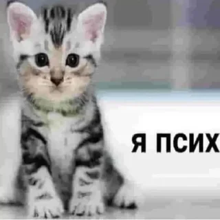 🤪 emoji пикчи Telegram sticker 24 of 115