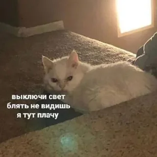 😭 emoji пикчи для жизни Telegram sticker 21 of 72