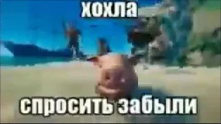 Sticker from Мемные пикчи