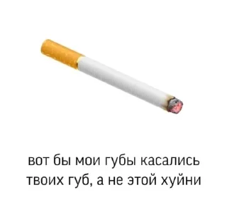 🥰 emoji пикчи для жизни Telegram sticker 19 of 72