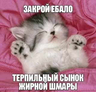 Sticker from пикчи чтоли
