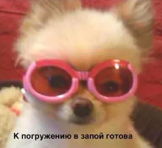 🍺 emoji пикчи для жизни Telegram sticker 3 of 72