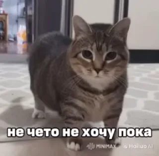 👋 emoji мемная чакушка Telegram sticker 10 of 36