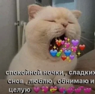 🌟 emoji Моë💞🥰💋 Telegram sticker 10 of 25