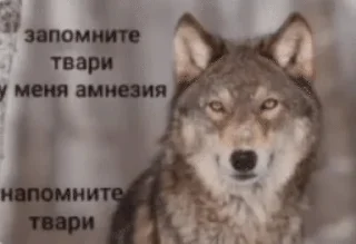 Sticker from мнє похуй я в гармонии