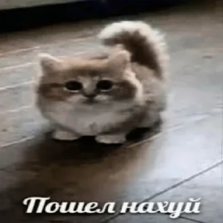 😡 emoji Автор @Genifak Telegram sticker 19 of 119