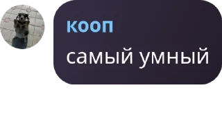 🍍 emoji Разговоры о Александрово pack by @QuotLyBot Telegram sticker 16 of 120