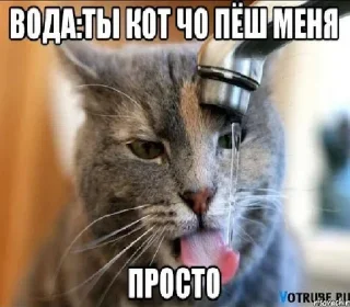 🤬 emoji Нет слов @emojis4 @SSSstickSSS Telegram sticker 13 of 49