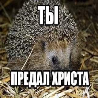 😃 emoji Нет слов @emojis4 @SSSstickSSS Telegram sticker 10 of 49