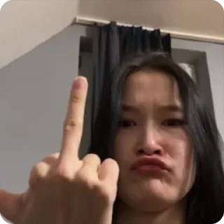 🖕 emoji любимые друзьяшки Telegram sticker 22 of 94