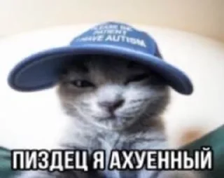 🌟 emoji Наш слоняра Telegram sticker 7 of 115