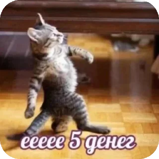 🐱 emoji Наш слоняра @Stikerhi_bot Telegram sticker 16 of 51