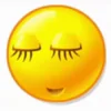 ☺️ emoji любимая залупа 2 🤍 @xkysluv Telegram sticker 17 of 146