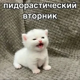 Sticker from Сегодня...