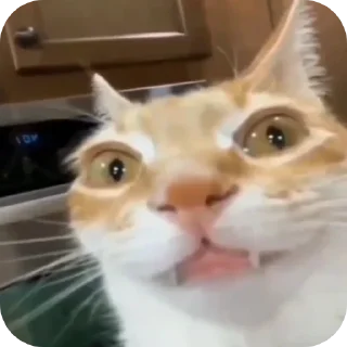 👍 emoji оо бооооооооожееее Telegram sticker 19 of 32