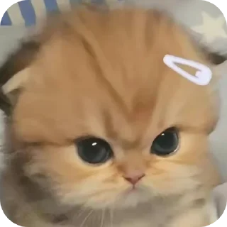 Sticker from оо бооооооооожееее