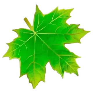 💚 emoji Татьяна Петровна Telegram sticker 22 of 25