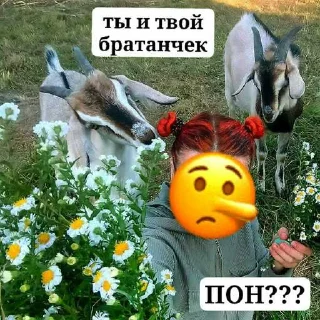 😭 emoji Татьяна Чёрная (легенда искусства) Telegram sticker 12 of 23