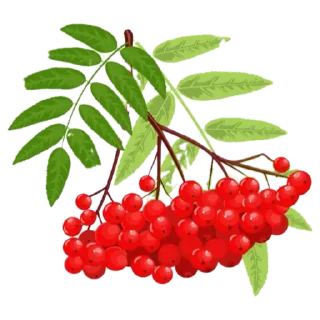 💚 emoji Татьяна Петровна Telegram sticker 20 of 25