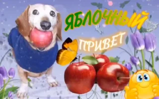 ☺️ emoji Стики горшка ➡️ @Ctikerubot Telegram sticker 12 of 29